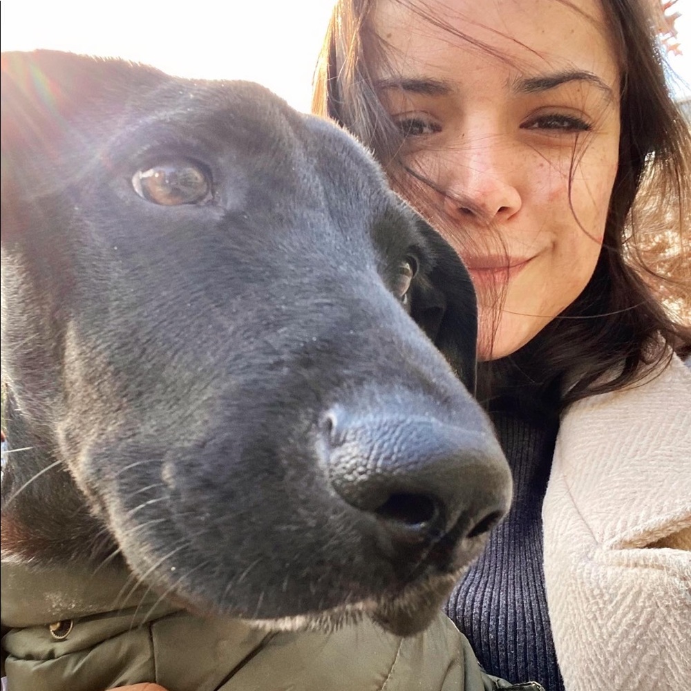 Meet your Posher, Alex